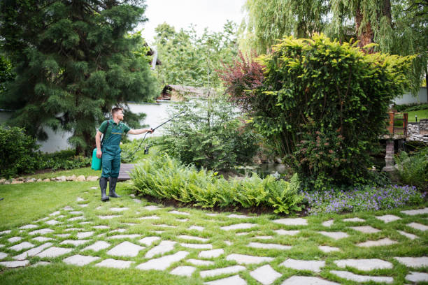Best Wildlife Control Services  in Franklin Square, NY