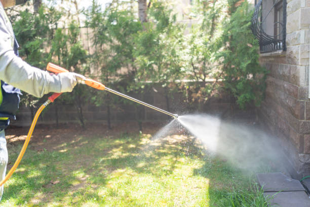 Best Best Pest Control Companies  in Franklin Square, NY