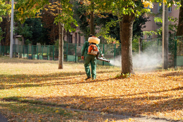 Best Residential Pest Control  in Franklin Square, NY
