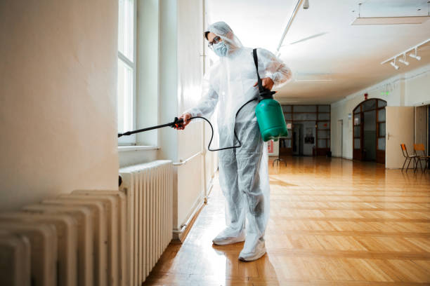 Best Best Pest Control Companies  in Franklin Square, NY