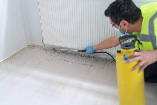 Best Mosquito Control Services  in Franklin Square, NY