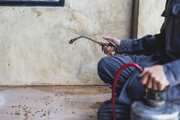 Best Best Pest Control Companies  in Franklin Square, NY